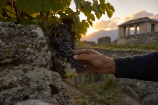 Vintner's hand touching Mondeuse grapes against a weathered stone vineyard wall at sunset, with Roman architectural hints in the blurred background.